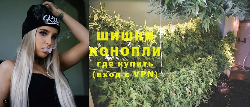 Марихуана SATIVA & INDICA  как найти   Сусуман 